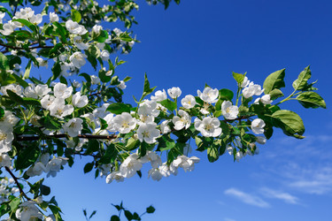 Similar image 21294481