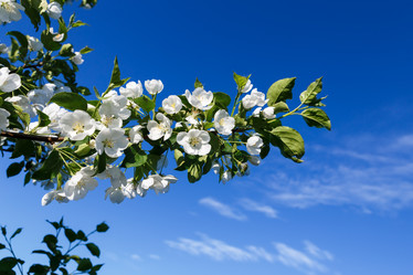 Similar image 21294483