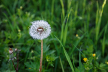 Similar image 21294562