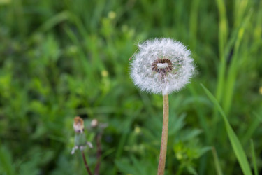 Similar image 21294566