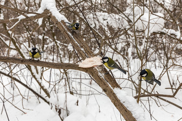 Similar image 21294587