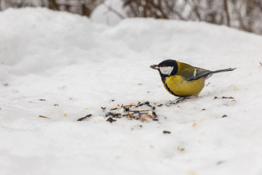 Similar image 21294597