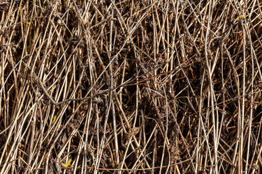 Similar image 21294492