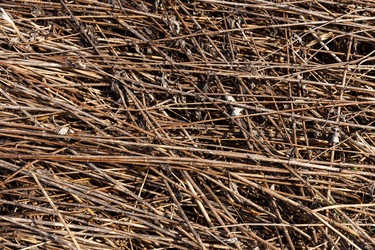 Similar image 21294496