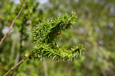 Similar image 21294607