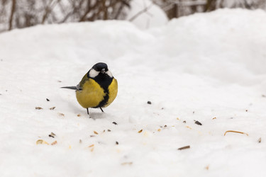 Similar image 21294608