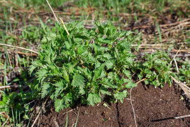 Similar image 21294609