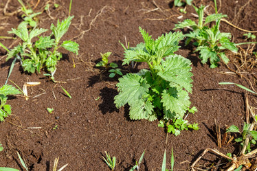 Similar image 21294611