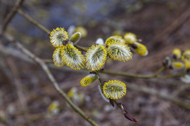 Similar image 21294615