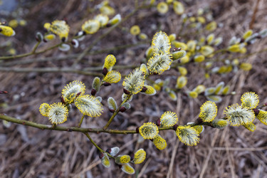 Similar image 21294617