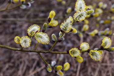 Similar image 21294619