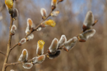 Similar image 21294621