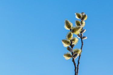 Similar image 21294625