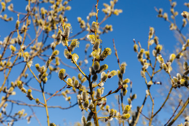 Similar image 21294633