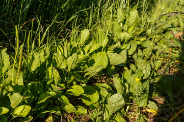 Similar image 21294638