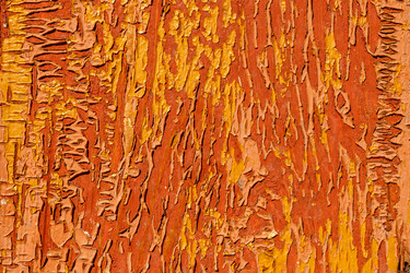 Similar image 21294639