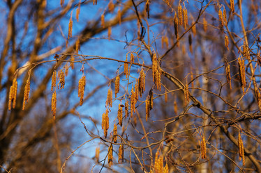 Similar image 21294643