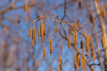 Similar image 21294647