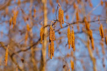 Similar image 21294649