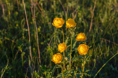 Similar image 21294654