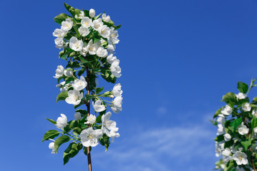 Similar image 21294656