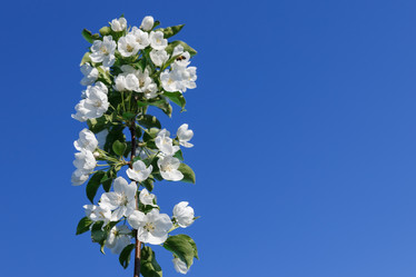 Similar image 21294658