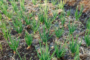 Similar image 21294673