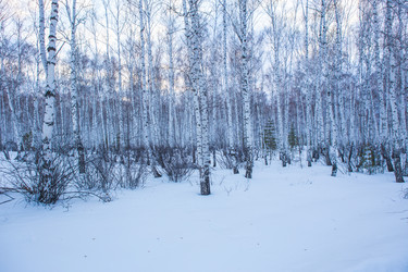 Similar image 21319186