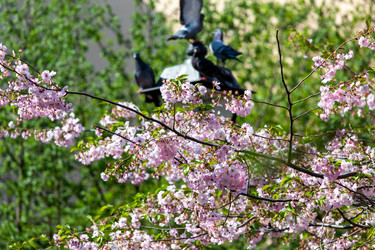 Similar image 21293588