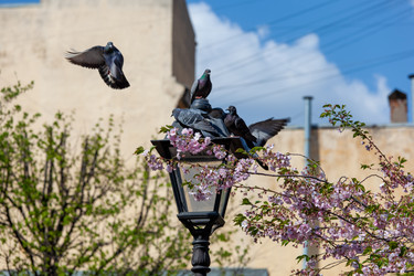 Similar image 21293589