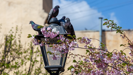 Similar image 21293590