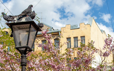 Similar image 21293591