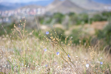 Similar image 21293594