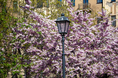 Similar image 21293596