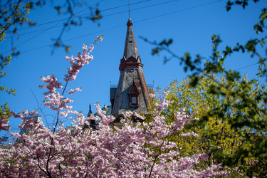 Similar image 21293597