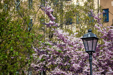 Similar image 21293598