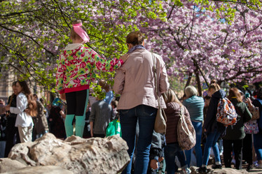 Similar image 21293599