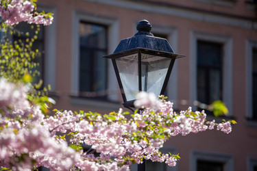 Similar image 21293600