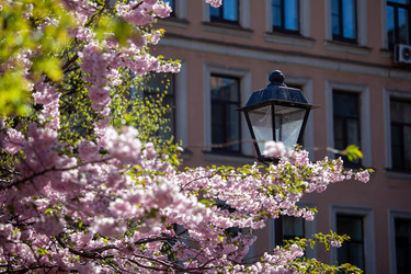 Similar image 21293601