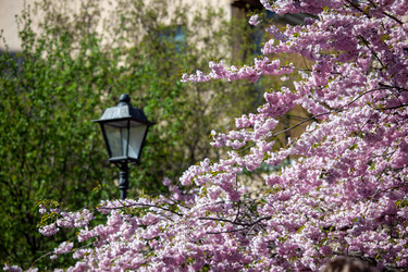 Similar image 21293602