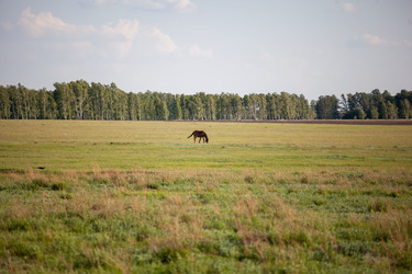 Similar image 21293603