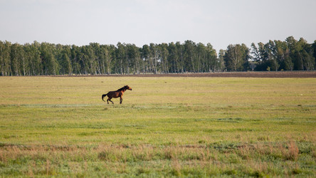 Similar image 21293605