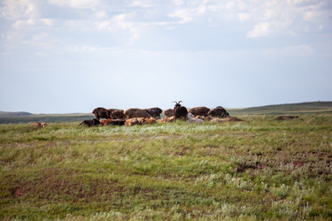 Similar image 21293606