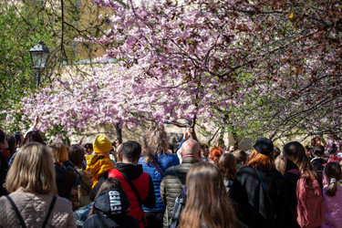 Similar image 21293607