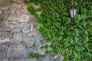 Similar image 21319216