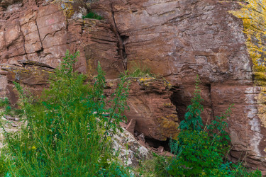 Similar image 21294996