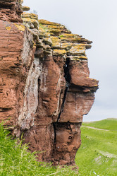 Similar image 21295006