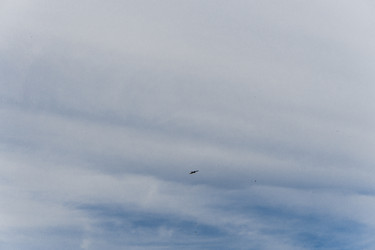 Similar image 21295077