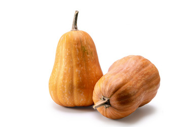 Similar image 21315815