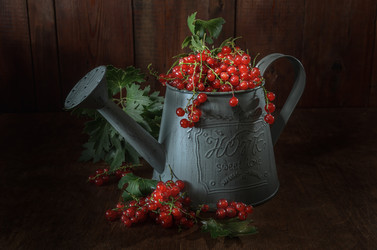 Similar image 21315822